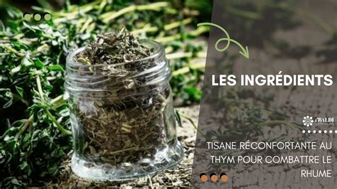 Tisane R Confortante Au Thym Pour Combattre Le Rhume Ibaldi