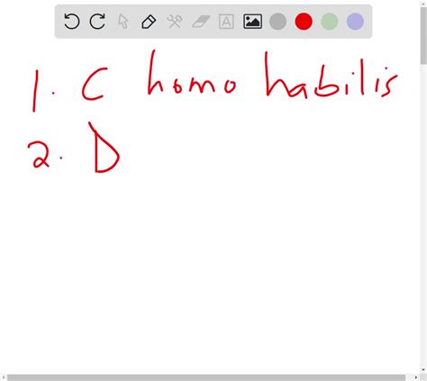 Solved Homo Habilis Was Contemporaneous With Australopithecines But