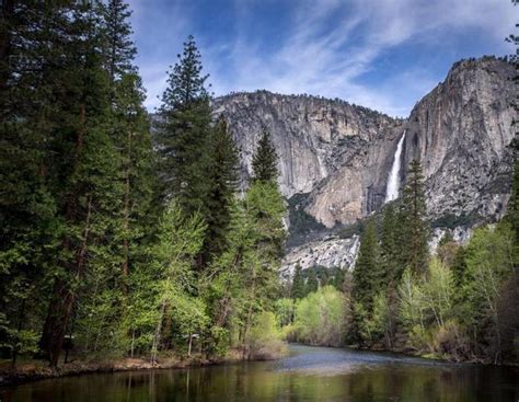 Camping At Yosemite National Park | 8 Best Camping Spots In Yosemite ...