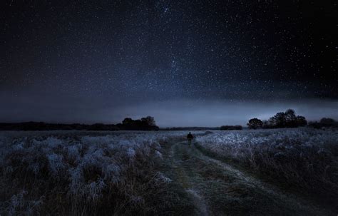 walking, Nature, Landscape, Starry Night, Dirt Road, Frost, Shrubs ...