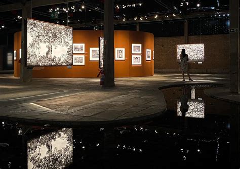 Amazônia a exposição de Sebastião Salgado em cartaz no Sesc Pompeia