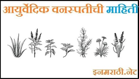 औषधी वनस्पती माहिती व उपयोग Ayurvedic Vanaspati Information In Marathi