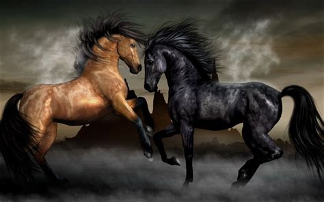 Horses Wallpapers on WallpaperDog