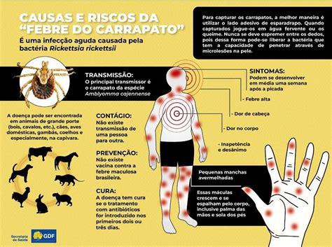 Febre maculosa veterinária explica como tirar carrapato segurança