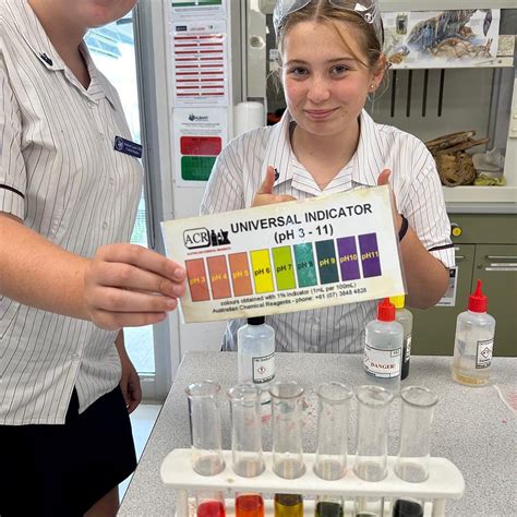 Year 10 Science Chemical Reactions Unit AJHS ENewsletter Week 8