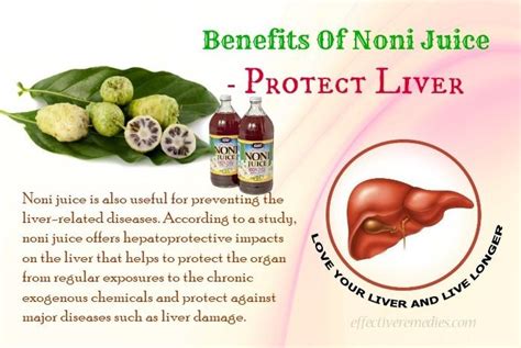 Noni Juice Benefits And Side Effects - health benefits