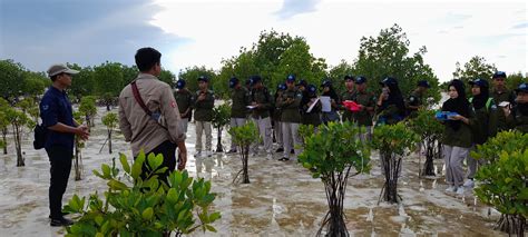 Area Pemulihan Ekosistem Mangrove Sebagai Media Pendidikan Konservasi