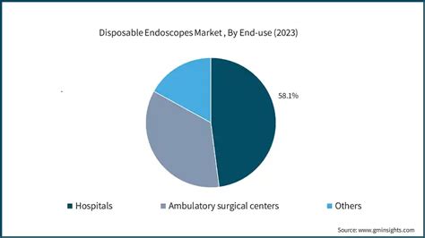 Disposable Endoscopes Market Size Share Report