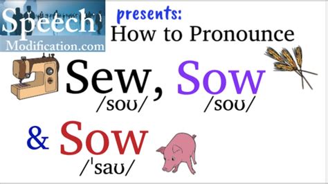 How To Pronounce Sew Sow Verb And Sow Noun YouTube