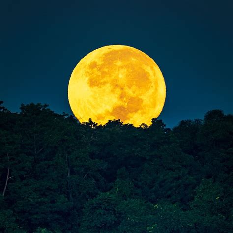 EarthSky | Moon illusion makes the moon look big!