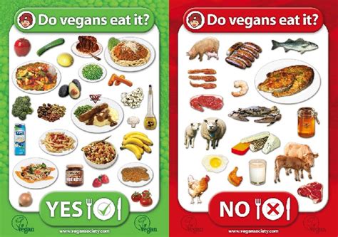 Why Veganism Is Not For Everyone Part