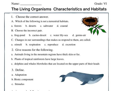 The Living Organisms And Their Surroundings Worksheet Strongest