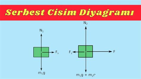 No 213 Serbest Cisim Diyagramı Nedir Hareket 9 Sınıf Fizik