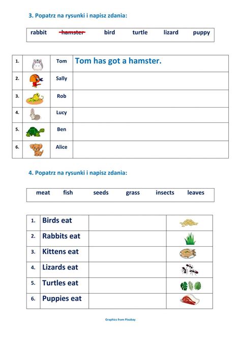 Tiger 2 Unit 1 Liveworksheets