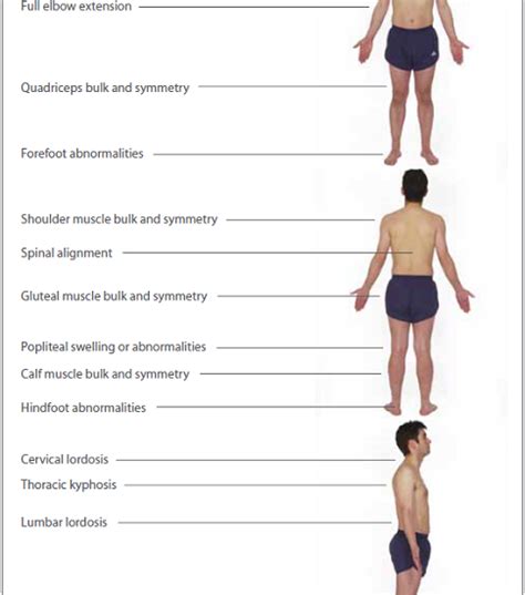 Musculoskeletal Assessment