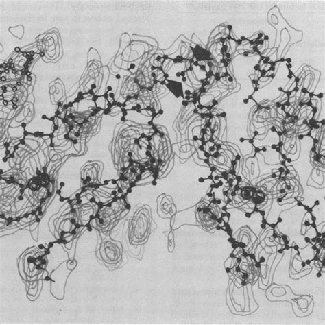 Sections Through The 4 5 A Electron Density Map Of J539 Perpendicular