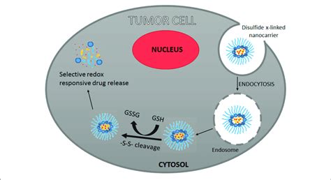 Redox Responsive Nanocarriers Download Scientific Diagram