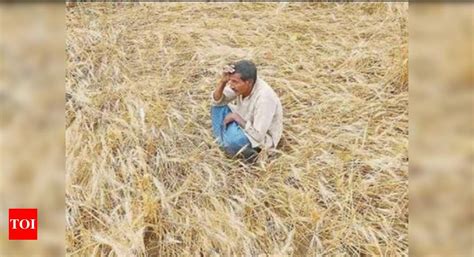 69 farmers commit suicide in last two months: Agriculture minister | India News - Times of India