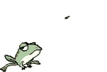 Frog Eating Bug GIFs | Tenor