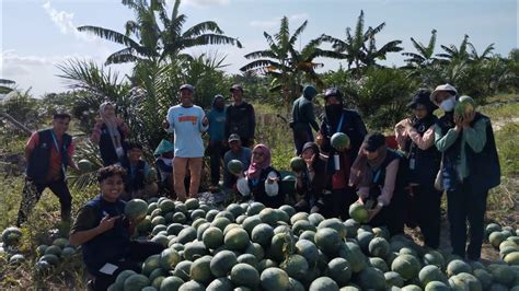 Proses Pengolahan Buah Semangka Menjadi Selai Desa Lubuk Lingkuk Semnas