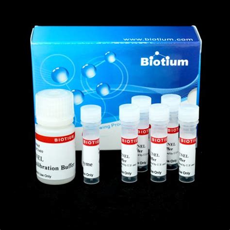 TUNEL Assay Apoptosis Detection Kit Atlantis Bioscience Pte Ltd