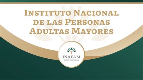 Instituto Nacional De Las Personas Adultas Mayores Youtube