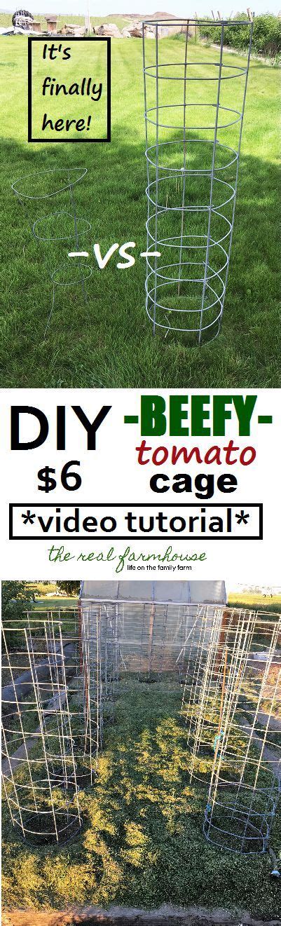 Diy Beefy Tomato Cage For Only 6 Video Tutorial And It Will Last Forever Tomato Cages