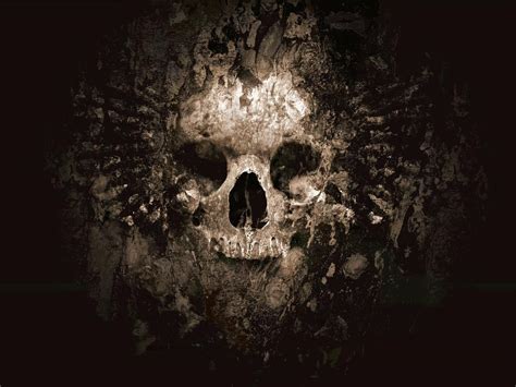 Cool Skull Wallpapers on WallpaperDog