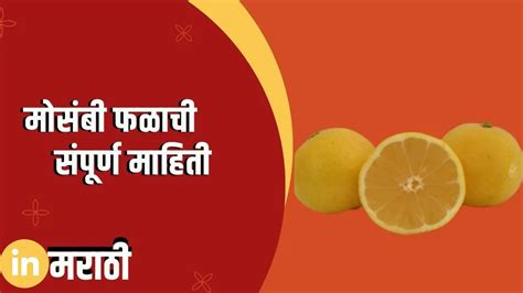 मोसंबी फळाची संपूर्ण माहिती Sweet Lime Fruit Information In Marathi In Marathi