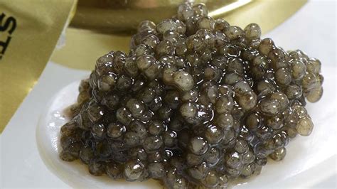 12 Different Types Of Caviar With Images