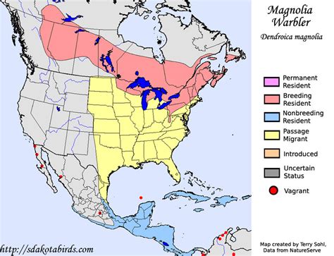 Magnolia Warbler - Species Range Map