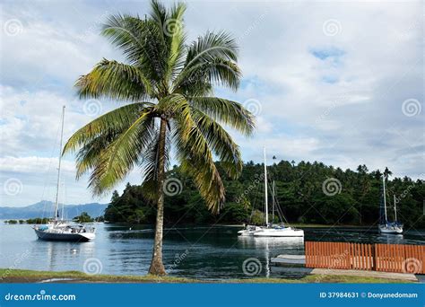 Savusavu Marina And Nawi Islet At Sunset Vanua Levu Island Fiji Stock