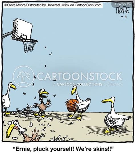 Plucked Chicken Cartoons And Comics Funny Pictures From Cartoonstock