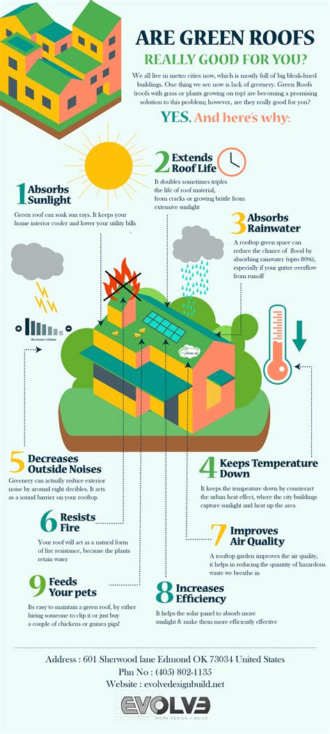 Are Green Roofs Really Good For You Infographics Visualistan