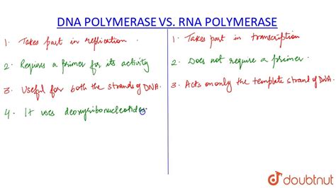 What Is The Difference Between Dna Polymerase Vs Rna Polymerase Images