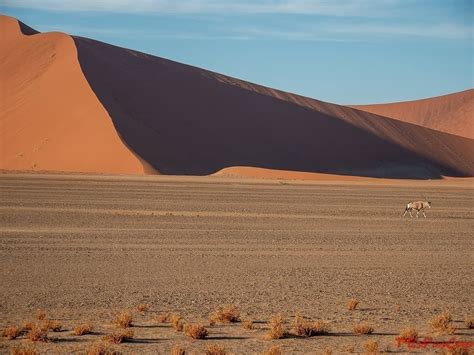 Alen On Le Voyage Extraordinaire D Une Famille En Afrique Et En Camion