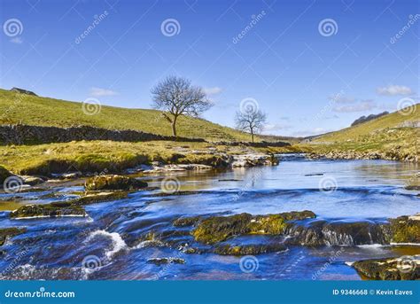 Rio Wharfe cénico foto de stock Imagem de paisagem canal 9346668