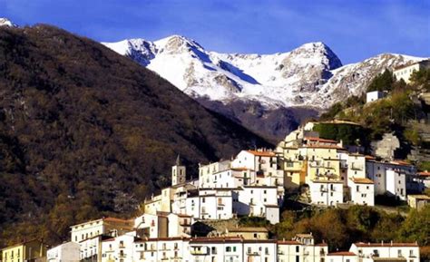 Pizzone Poste Italiane Dedica Un Francobollo All Orso Marsicano