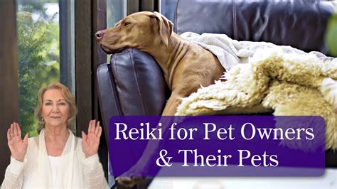 Reiki For Pet Owners And Their Pets Reiki Healing And Relaxation For