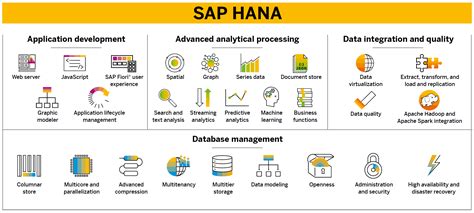 The Sap Hana Revolution Sap Community