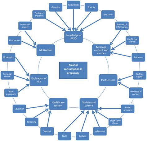 Thematic Map Of Codes And Themes Download Scientific Diagram