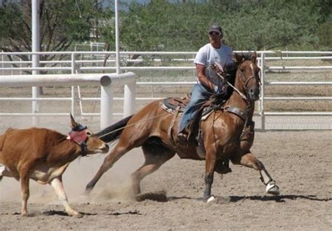 4 Ropin Ranch, Inc