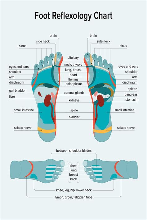 Reflexology Foot Massage Pressure Points In Your Feet Poster Foot