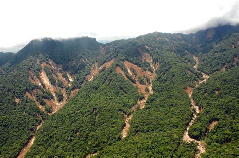 Paran Prepara For A Tarefa Para Resposta A Desastres Naturais