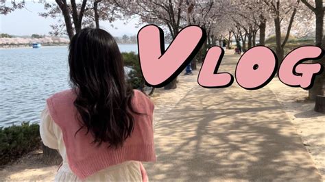 Vlog 7 벚꽃 보러 갈래 벚꽃놀이🌸 벚꽃 실컷보고 꽃 다 진다음에 올리는 브이로그 일상 브이로그 주말