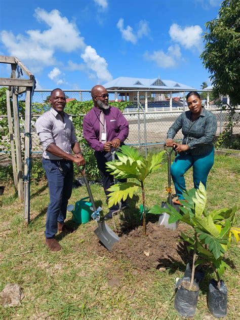 Tobago Breadfruit Initiative Caravan Rolls In To Buccoo Tobago