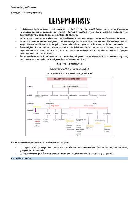 Leishmaniasis Samira Cuayla Mamani Udocz