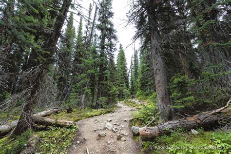 Mt. Edith Cavell Hikes- Path of the Glacier Trail & Cavell Meadows