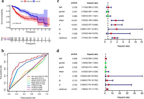 Predictive Performance Of Prognostic Model A Km Survival Curve B Roc