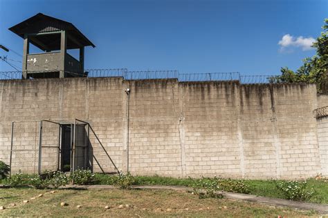 Our Work | Counteract International